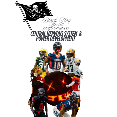 CNS + Power Workout plan